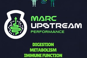 trainer logo